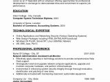 Sample Resume Objective Statements for Accounting Resume Objective Examples Entry Level