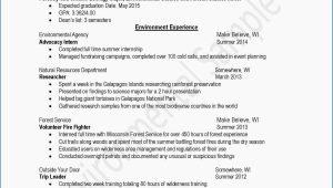 Sample Resume Objective Statements for High School Students 14 Technical Skills On A Resume Example
