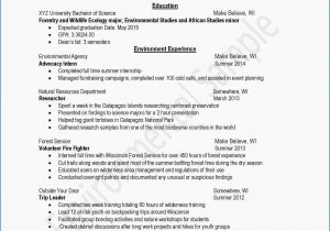Sample Resume Objective Statements for High School Students 14 Technical Skills On A Resume Example