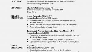 Sample Resume Objective Statements for Internship Internship Resume Objective October 2021
