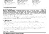 Sample Resume Objective Statements for Project Manager Resume Templates Project Manager Project Manager Resume Example …