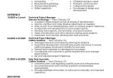 Sample Resume Objective Statements for Project Manager Technical Project Manager Resume Examples Computers & Technology …