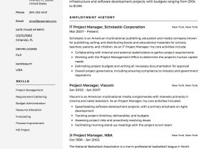 Sample Resume Objective Statements Project Manager 20 Project Manager Resumes & Full Guide Pdf & Word