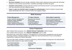 Sample Resume Objective Statements Project Manager It Project Manager Resume Monster.com