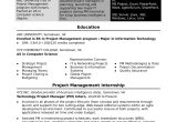 Sample Resume Objective Statements Project Manager Sample Resume for An assistant It Project Manager Monster.com