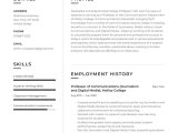 Sample Resume Objectives for College Professors College Professor Resume Example & Writing Guide Â· Resume.io