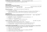 Sample Resume Objectives for Entry Level Retail 77 New Photos Of Good Resume Objectives for Retail Jobs Check More …