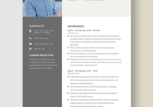 Sample Resume Objectives for Expeditors Of Liquor Agency Sales Manager Resume Template – Word, Apple Pages …