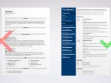 Sample Resume Objectives for Finance Jobs Finance Resume Examples & Writing Guide for 2022