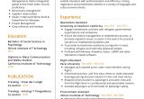 Sample Resume Objectives for Flight attendant Flight attendant Resume Sample 2022 Writing Tips – Resumekraft