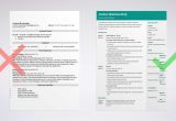 Sample Resume Objectives for Food Service Food Service Resume Examples [with Skills & Job Description]