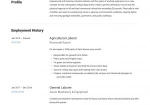 Sample Resume Objectives for General Labor General Laborer Resume Sample October 2021