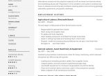 Sample Resume Objectives for General Labor General Laborer Resume & Writing Guide  12 Free Templates 2020