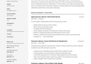 Sample Resume Objectives for General Labor General Laborer Resume & Writing Guide  12 Free Templates 2020