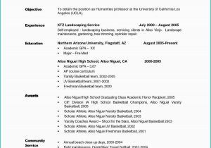 Sample Resume Objectives for High School Students Objective In A Resume Karate, Job, Statements