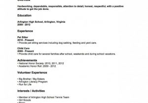 Sample Resume Objectives for High School Students Resume Examples Sample Resume High School No Work Experience First …