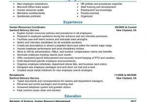 Sample Resume Objectives for Human Resources 20 Best Human Resources Resume Ideas Human Resources Resume …