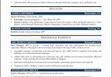 Sample Resume Objectives for Human Services 65 New Photos Of Human Resources Representative Resume Examples …