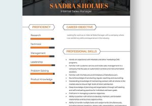 Sample Resume Objectives for Internal Job Internal Resume Templates – Design, Free, Download Template.net