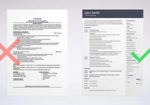 Sample Resume Objectives for Internal Position 20lancarrezekiq Resume Objective Examples: Career Statement for All Jobs