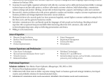 Sample Resume Objectives for Management Position Project Management Resume