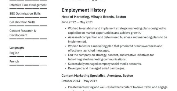 Sample Resume Objectives for Marketing Job Marketing Resume Examples & Writing Tips 2022 (free Guide)