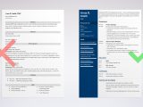 Sample Resume Objectives for Project Management Project Manager (pm) Resume / Cv Examples (template for 2022)
