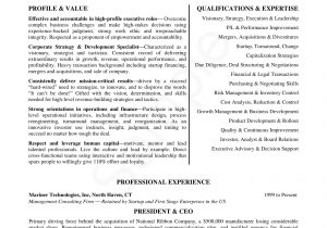 Sample Resume Of A Co Founder 24 Award Winning Ceo Resume Templates – Wisestep