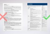 Sample Resume Of A Co Founder Chief Executive Officer (ceo) Resume Template & Examples