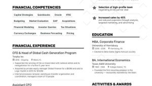 Sample Resume Of Cfo In India Chief Financial Officer Resume: 2021 Guide with Examples