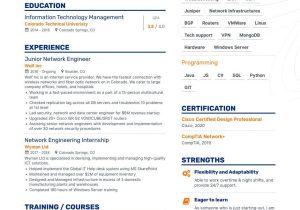 Sample Resume Of Computer Network Engineer Network Engineer Resume Samples and Writing Guide for 2022 (layout …