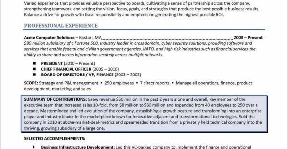 Sample Resume Of Corporate Director Of Revenue Management 3 Board Of Director Resume Examples – Distinctive Career Services