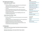 Sample Resume Of Corporate Director Of Revenue Management Finance Director Resume Examples & Writing Tips 2022 (free Guide)