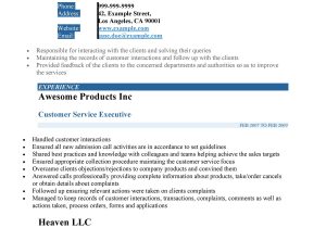 Sample Resume Of Customer Support Executive 30lancarrezekiq Customer Service Resume Examples á Templatelab