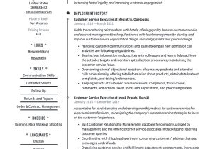 Sample Resume Of Customer Support Executive Customer Service Executive Resume & Writing Guide 20 Templates …