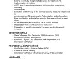 Sample Resume Of Cyber Security Analyst Cyber Security Cv Template Examples Audit, Finance Management