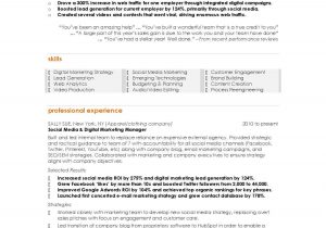 Sample Resume Of Digital Marketing Manager 10 Marketing Resume Samples Hiring Managers Will Notice