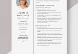 Sample Resume Of Director Of Disability Free Free Disability Examiner Resume Template – Word, Apple Pages