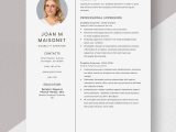 Sample Resume Of Disability Care Worker Free Free Disability Examiner Resume Template – Word, Apple Pages