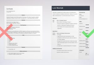 Sample Resume Of Entry Level It Entry Level Information Technology It Resume Template 2021