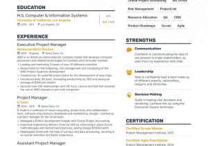 Sample Resume Of Epm Developer Linkedin 4 Job-winning Project Manager Resume Examples In 2022 (layout …