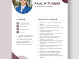 Sample Resume Of External Audit Manager Free Free External Audit Manager Resume Template – Word, Apple …