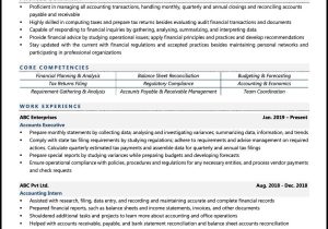 Sample Resume Of Finance Executive In India Accounts Executive Resume Examples & Template (with Job Winning Tips) Sample Resume Of Finance Executive In India Accounts Executive Resume Examples & Template (with Job Winning Tips)