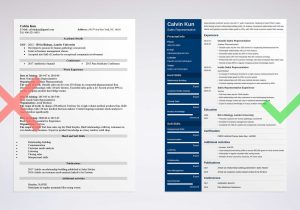 Sample Resume Of Fmcg Sales Executive Sales Representative Resume: Sample & Job Description