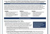 Sample Resume Of Health Care Project Manager Example Healthcare Manager Resume