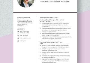 Sample Resume Of Health Care Project Manager Healthcare Project Manager Resume Template – Word, Apple Pages …