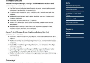 Sample Resume Of Healthcare Project Manager Healthcare Project Manager Resume Examples & Writing Tips 2022 (free