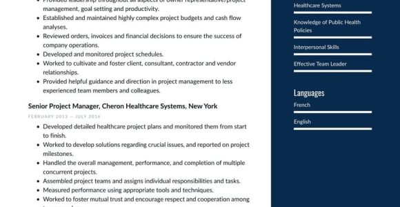 Sample Resume Of Healthcare Project Manager Healthcare Project Manager Resume Examples & Writing Tips 2022 (free