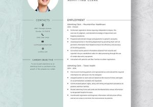 Sample Resume Of Hospital Admitting Clerk Clerk Resume Templates Word – Design, Free, Download Template.net