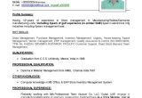 Sample Resume Of Hr Manager In Dubai Resume Templates Free Download Professional, Modern Word formats